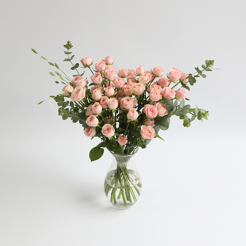 자나장미 생화꽃다발