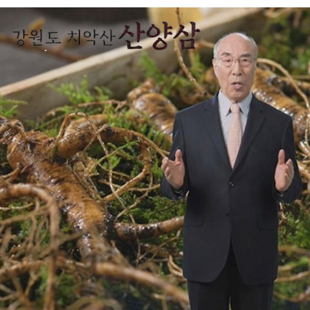 강원도 치악산 산양삼 5뿌리 국내산 인삼 새싹 산양삼 원기회복 묘삼 고급 오동나무 박스 포장 5뿌리 1세트