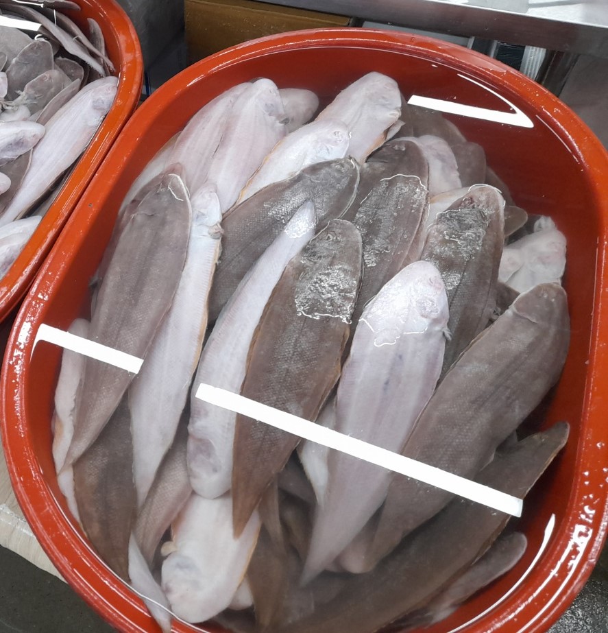 자연산 반건조 박대 (용서대) 4마리 1세트 (마리당 34-35cm)
