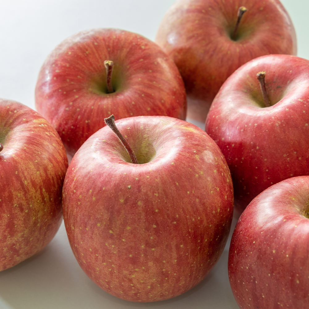산지직송 아삭하고 달콤한 빨강 사과 홍로 아리수 부사 가정용 특품 2kg 3kg 5kg