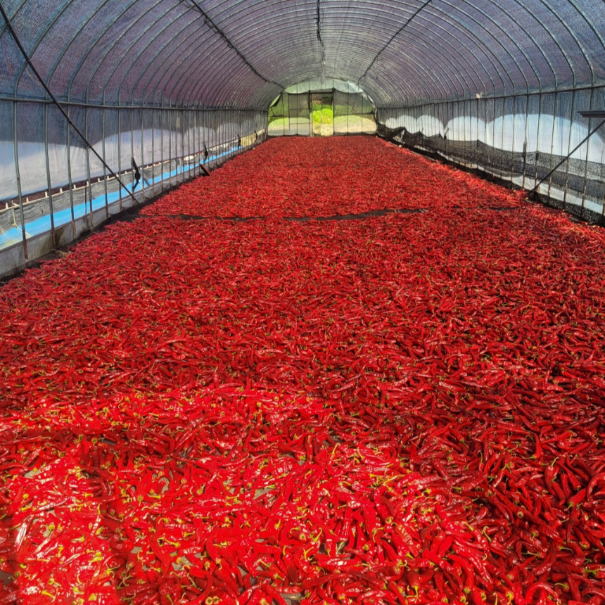 국산 25년 햇고춧가루 태양초 고운고춧가루 1kg