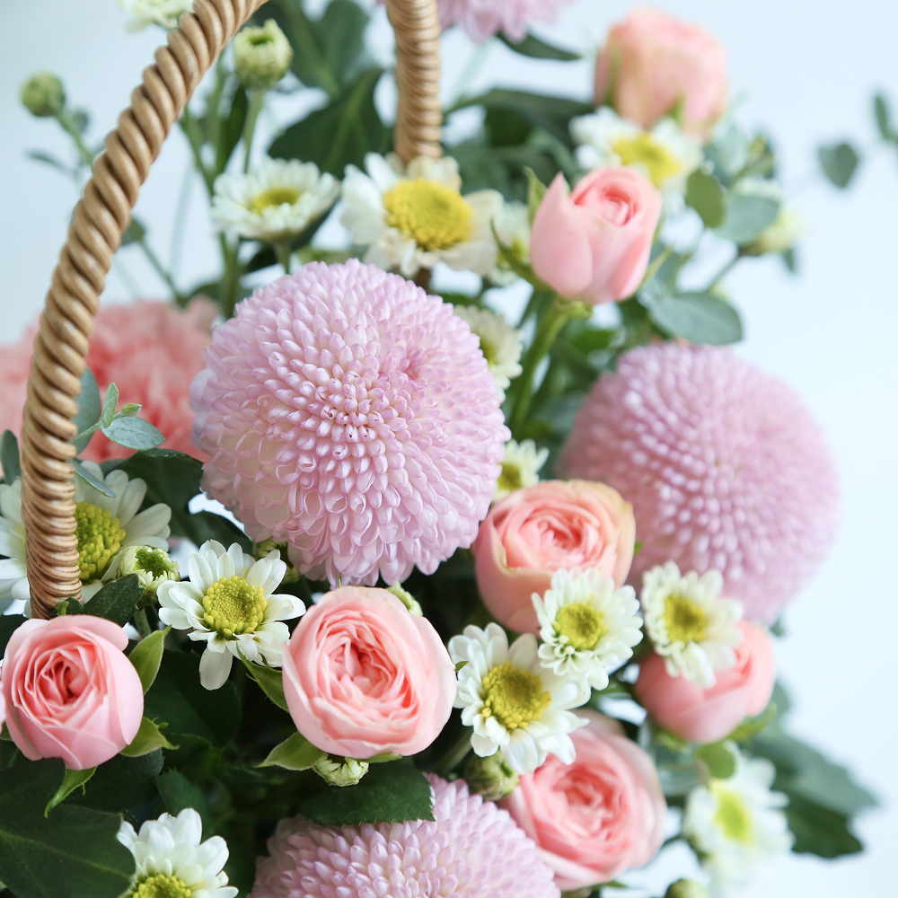 퐁퐁국화 생화꽃바구니