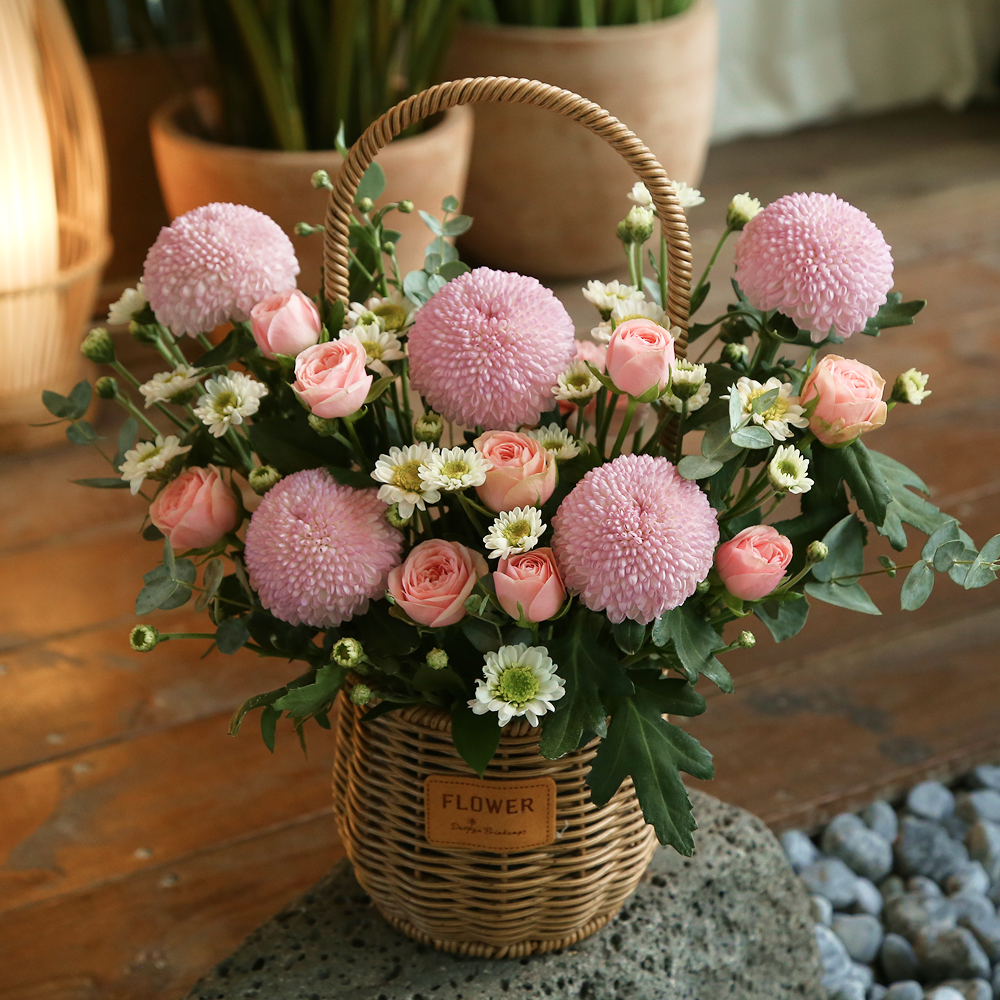 퐁퐁국화 생화꽃바구니