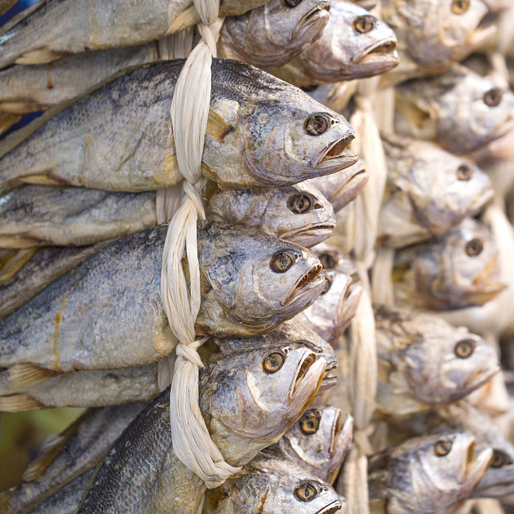 제주 국내산 추자도 참조기