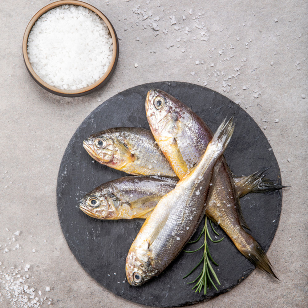 제주 국내산 추자도 참조기