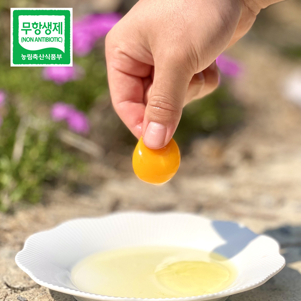 난각번호 1번 무항생제 자연방목 유정란 20구 자연방사유정란 계란 달걀 대표이미지 섬네일