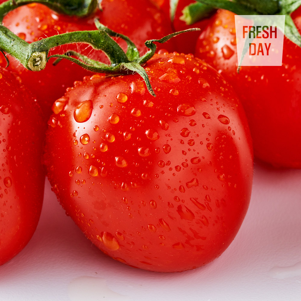 [프레시데이] 국내산 고당도 대추 방울토마토 소과 / 특상품