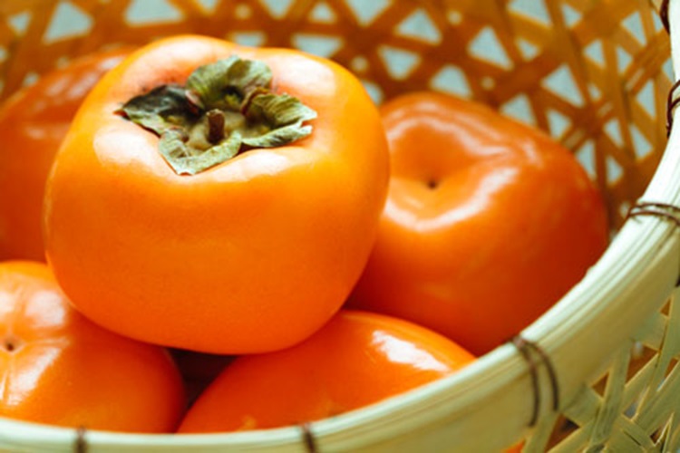 달콤 아삭한 제철 햇단감 상서 송본 부유 단감 생과