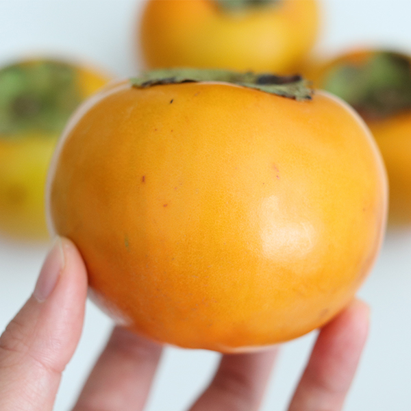 [단감최고] 단맛 진한 단감 2kg 3kg 5kg 제철  단감