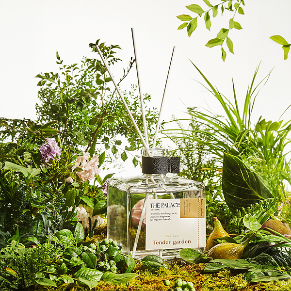 텐더가든 더 팰리스 2L 디퓨저 세트_Nr.100 아트 피그 트리