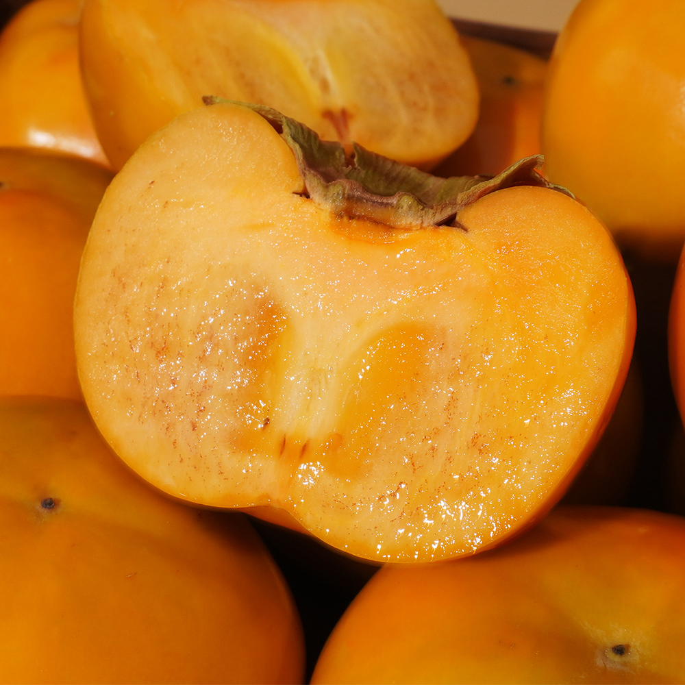 산지직송 햇 단감 부유단감 진영 고당도 감  2kg 4kg