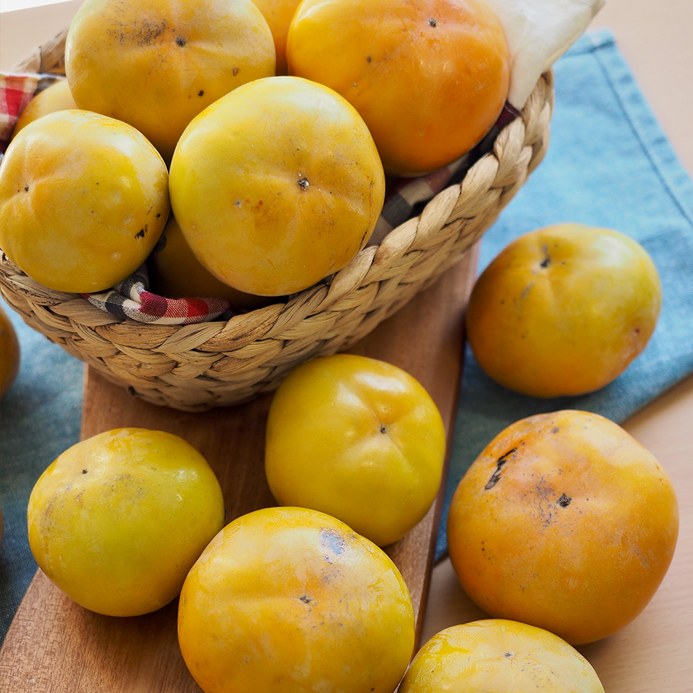 산지직송 햇 단감 부유단감 진영 고당도 감  2kg 4kg