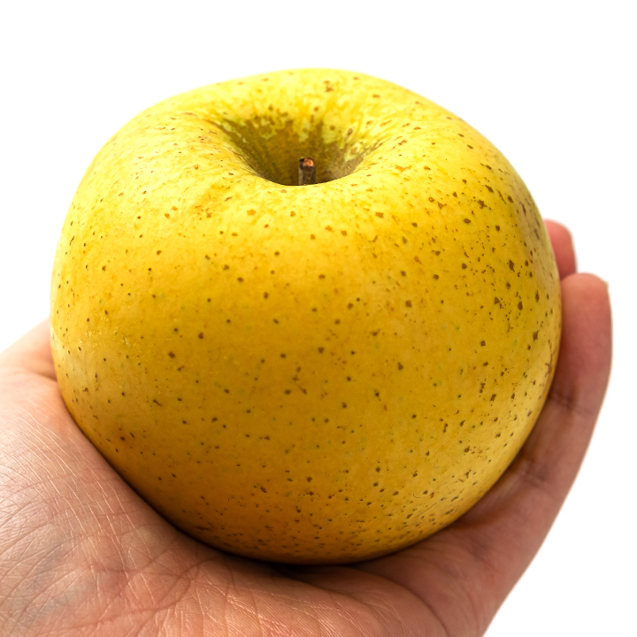 당도 높아 더 달콤한 청송 시나노골드 사과 1kg 3kg 5kg