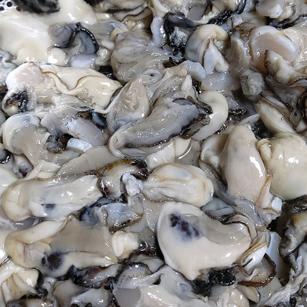 [산지직송] 최상급 제철 통영 생굴 1kg / 깐굴 세척 석화 하프셀 굴