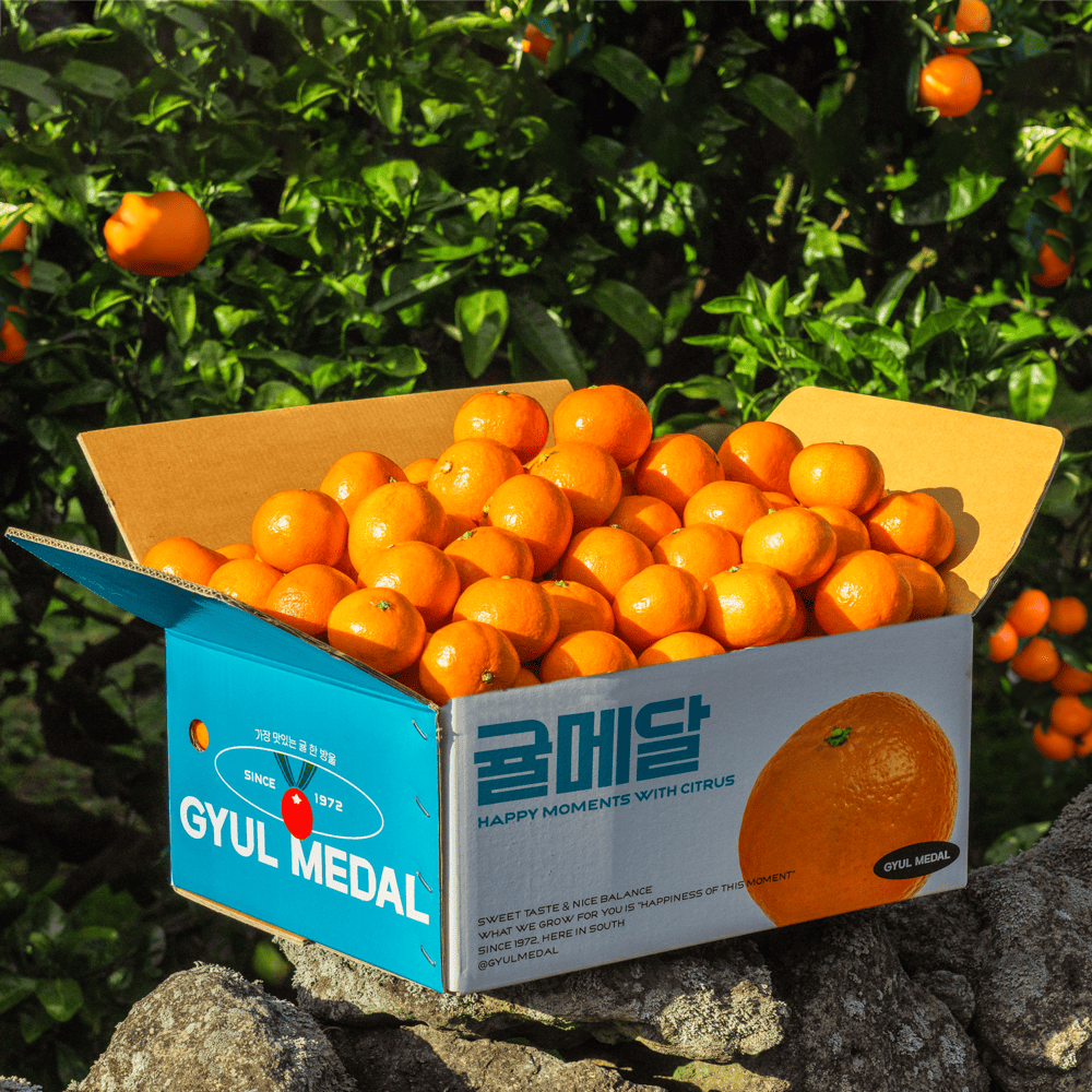 귤메달 노지감귤 2kg 3kg 5kg 대표이미지 섬네일