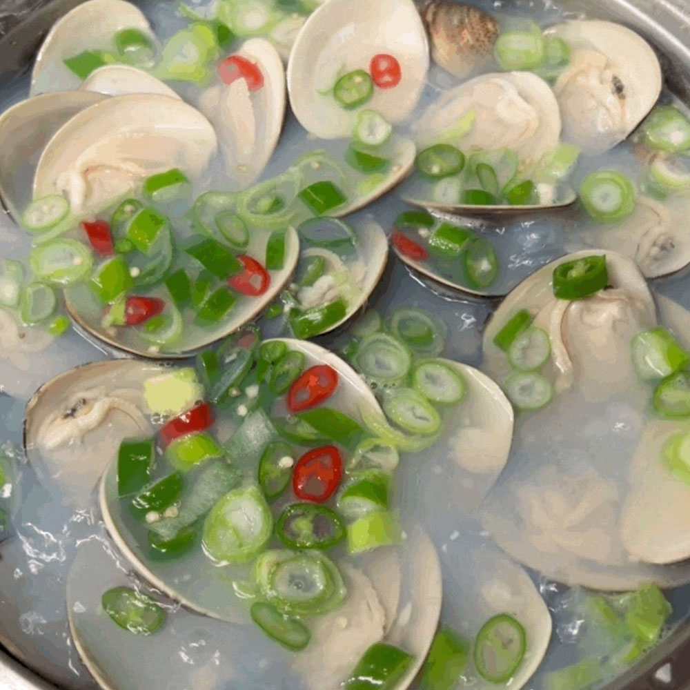 조개탕 조개구이용 백합조개 1-5kg