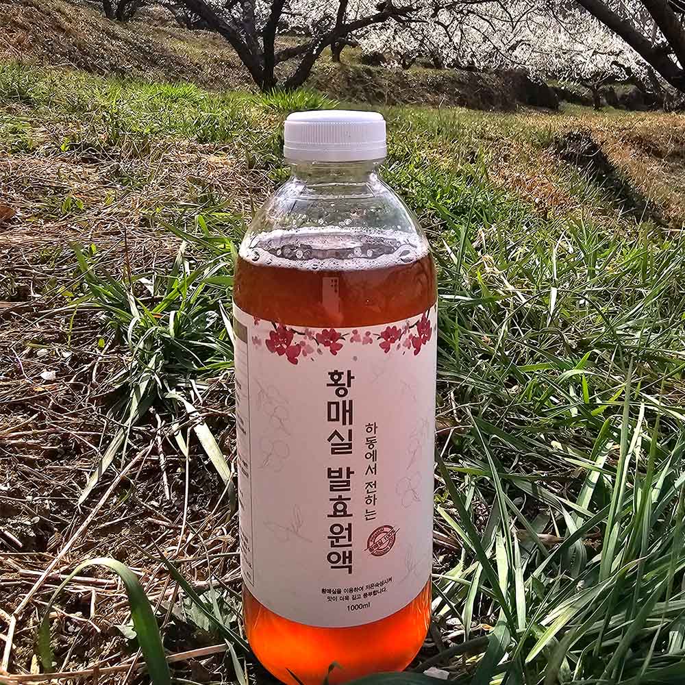 자연발효 3년숙성 수제 황매실청 1-4병