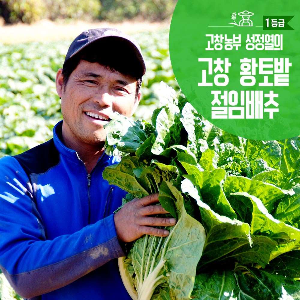 [예약배송] 정성가득 고창 황토밭 김장 절임배추 20kg