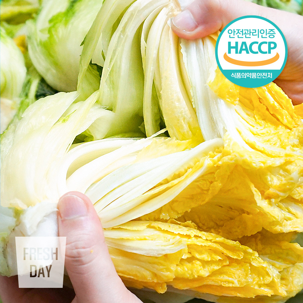 [HACCP인증] 깨끗하게 절인 해남 김장 절임배추 특품 20kg