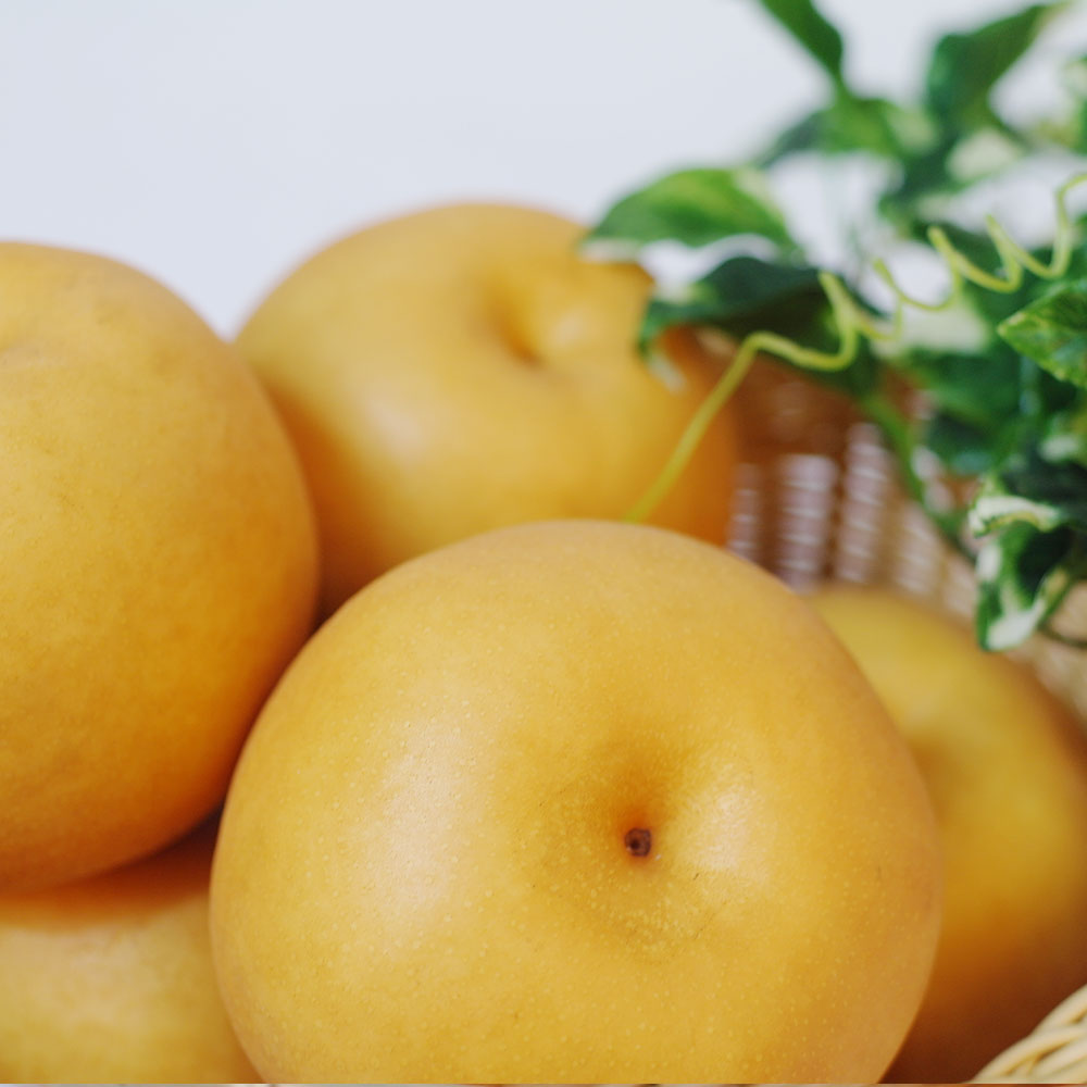 저탄소인증 국내산 신고배  (1.5kg/3kg/6kg)