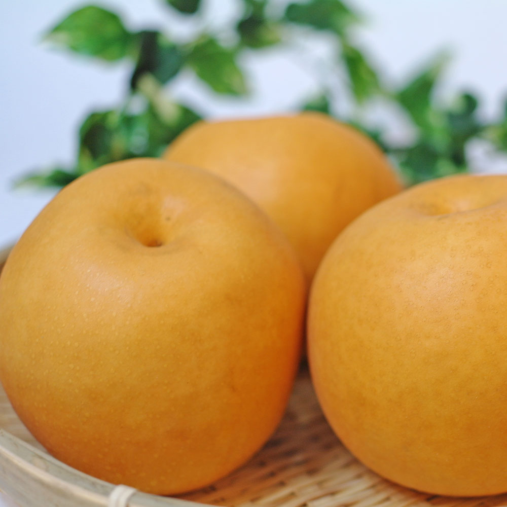 저탄소인증 국내산 신고배  (1.5kg/3kg/6kg)