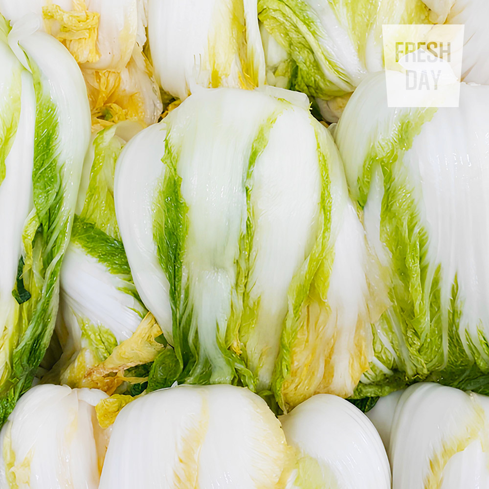 [프레시데이] 깨끗하게 절인 해남 김장 절임배추 20kg