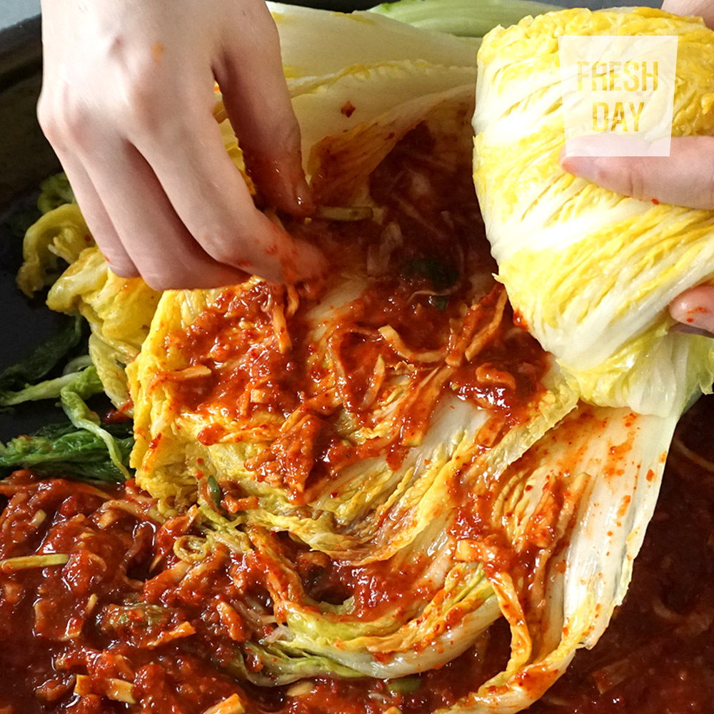 [프레시데이] 깨끗하게 절인 해남 김장 절임배추 20kg