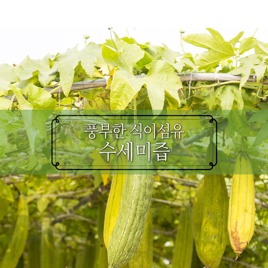 엄마애손 수세미즙 엑기스 진액 (100mlx60포)