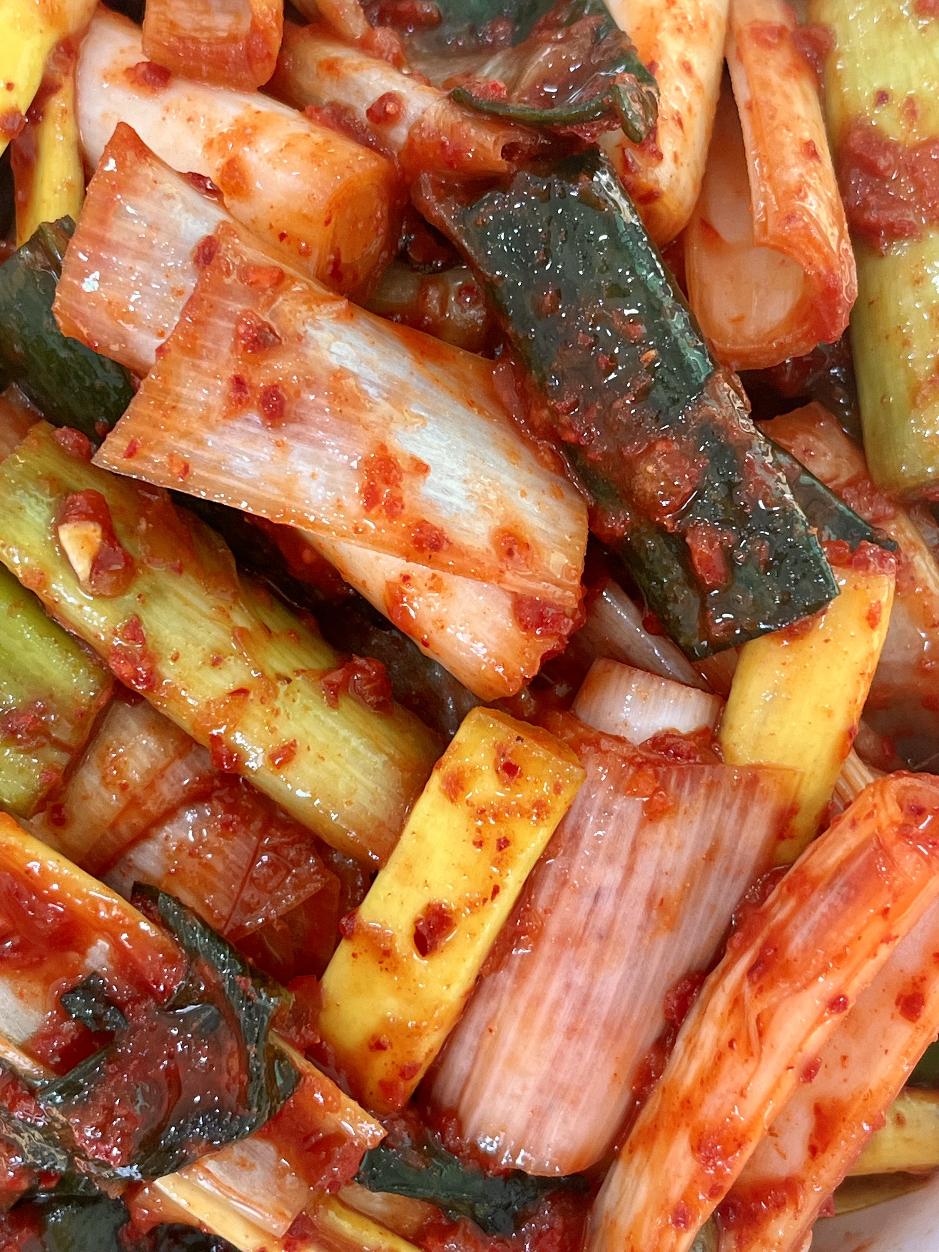 윤가네 전국 3대 대파김치