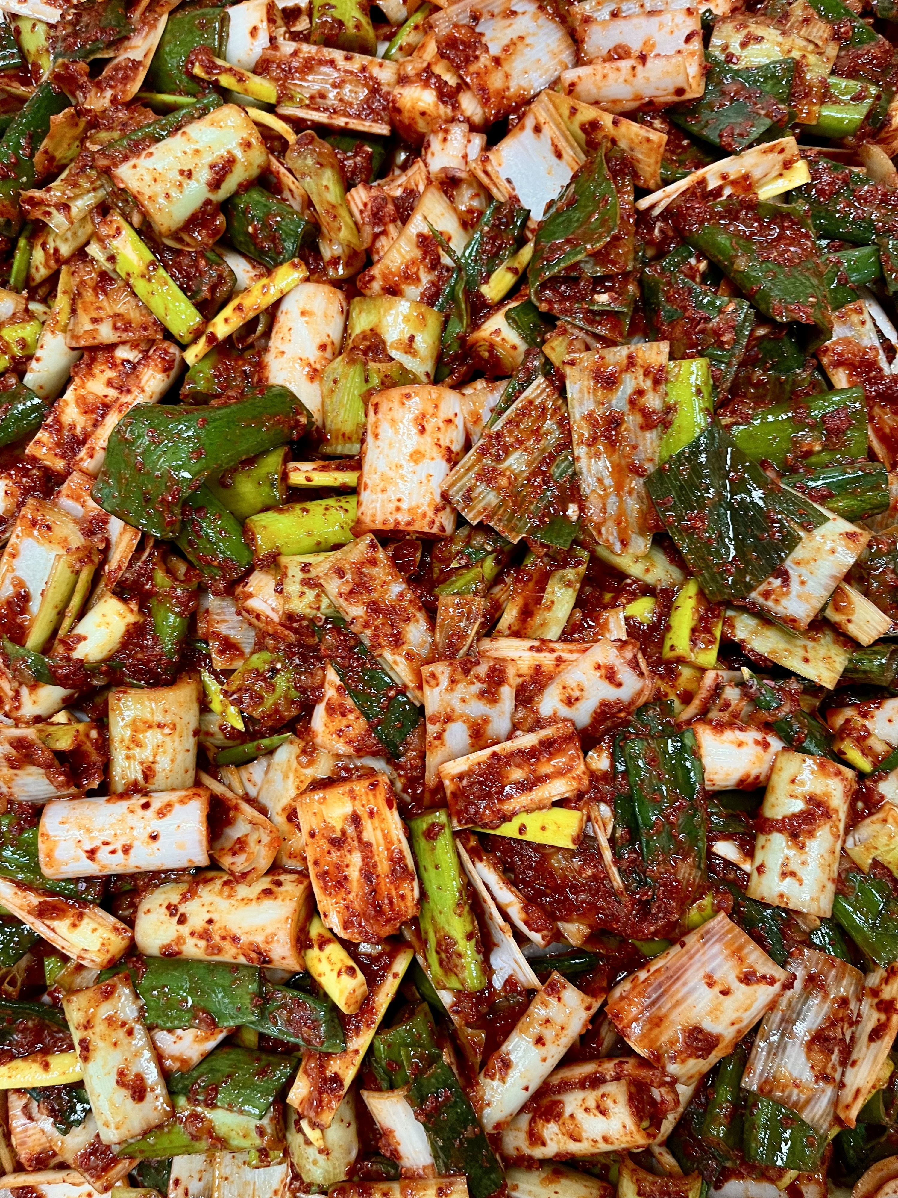 윤가네 전국 3대 대파김치