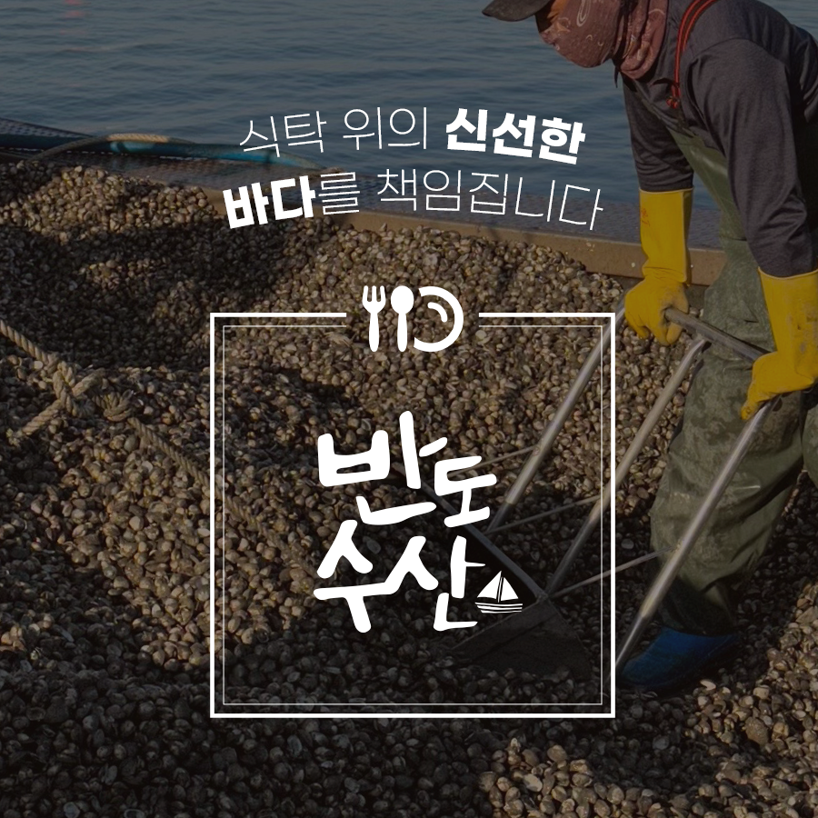 산지직송 벌교 새꼬막 1kg