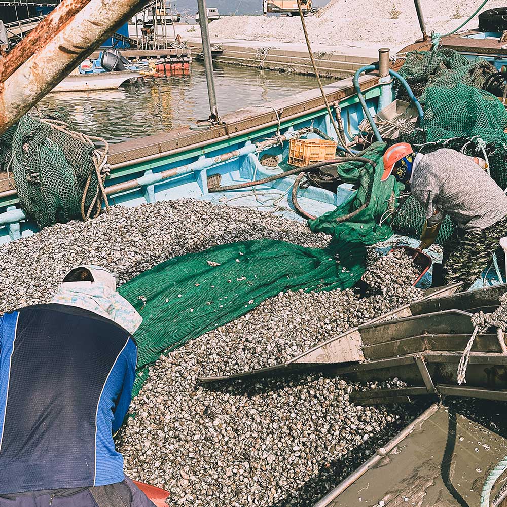 산지직송 벌교 새꼬막 1kg