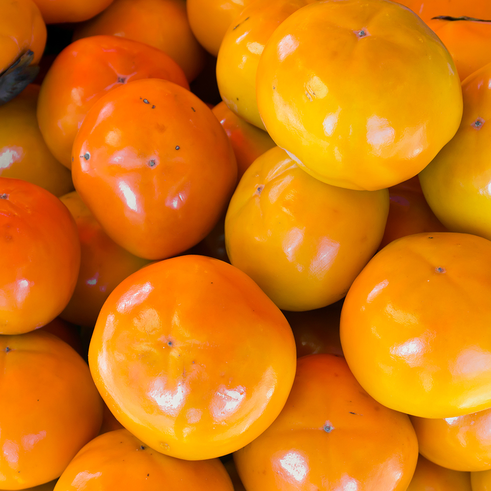 당일수확 경남 햇 단감 부유단감 진영 산지직송 고당도 꿀당도 감 3k 5kg