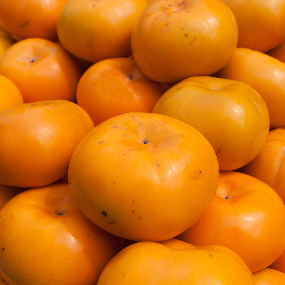 당일수확 경남 햇 단감 부유단감 진영 산지직송 고당도 꿀당도 감 3k 5kg