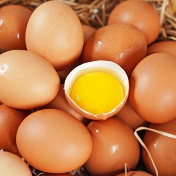 자연방사 유정란/무항생제/동물복지인증/신선배송