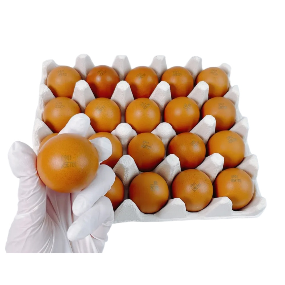 자연방사 유정란/무항생제/동물복지인증/신선배송