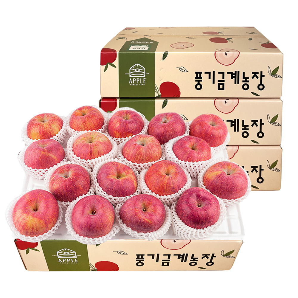 [풍기금계농장] 고당도 영주 부사 사과 5kg