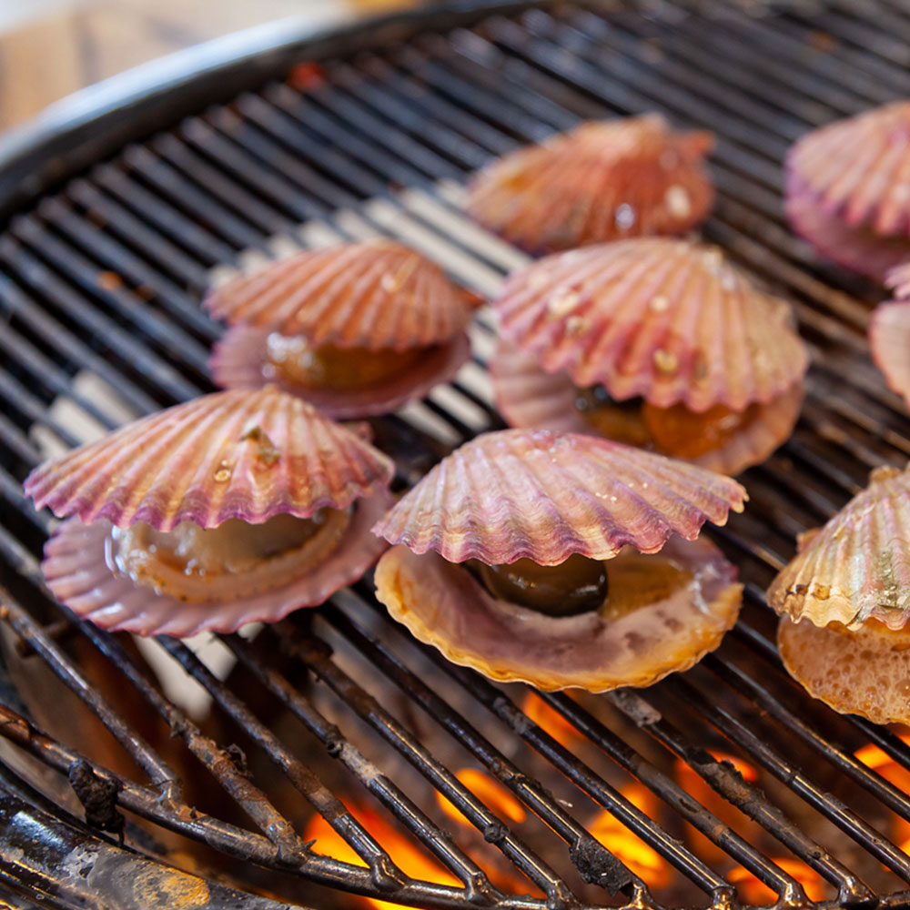 가장 맛있는 제철! 국산 남해안 홍가리비