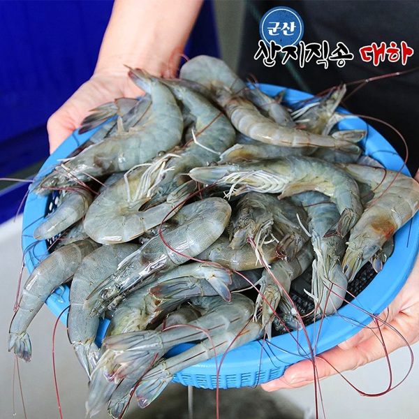 국산 서해 군산 자연산 대하 냉동 새우 1kg 35미 내외