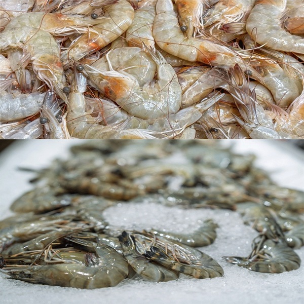 국산 서해 군산 자연산 대하 냉동 새우 1kg 35미 내외