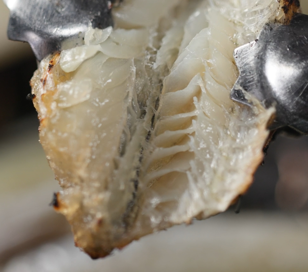 부드럽고 쫄깃한 말랑노가리 140g 7팩 총 980g