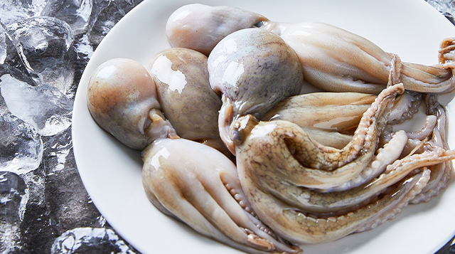 제철 쭈꾸미 싱싱한 서해안 활 생물쭈꾸미 / 급냉쭈꾸미 국내산 1kg