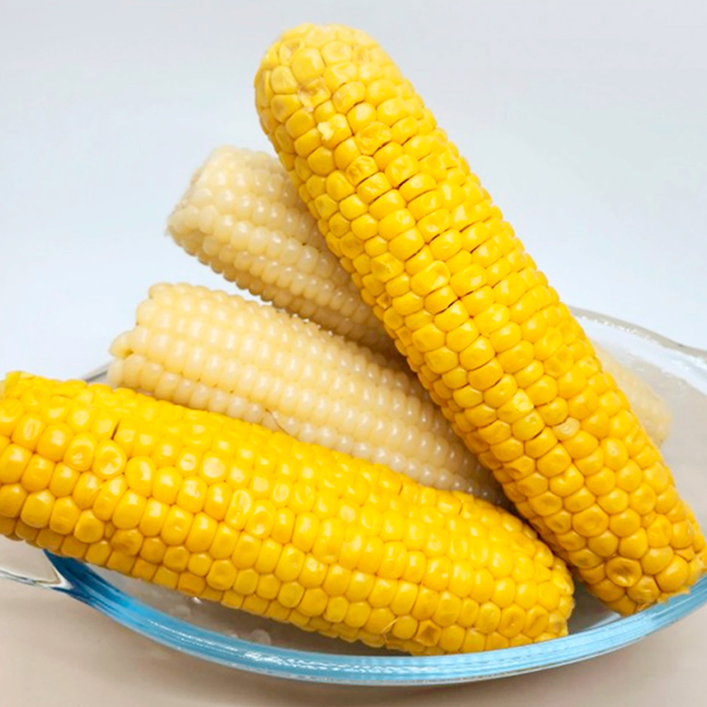 국내산 햇 찰옥수수 초당옥수수 5개 진공포장 실온보관