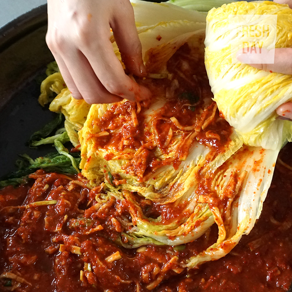 [예약배송/HACCP인증] 1등급 고창 해풍맞은 김장 절임배추 10kg