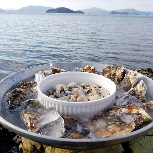 [생굴늘푸] 탱글 통영 생굴 깐굴 1kg 2kg 3kg