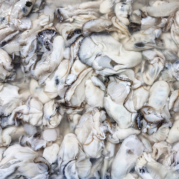 [생굴늘푸] 탱글 통영 생굴 깐굴 1kg 2kg 3kg