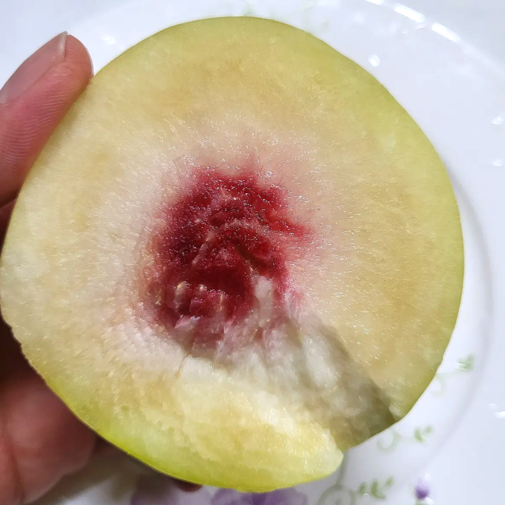 쫀득달콤한 설리 설아복숭아 겨울복숭아 대표이미지 섬네일