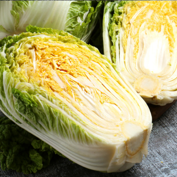 [HACCP]해남 황금배추도사 황금돼지 절임배추