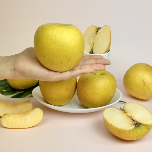 아삭하고 달콤한 시나노골드 황금사과