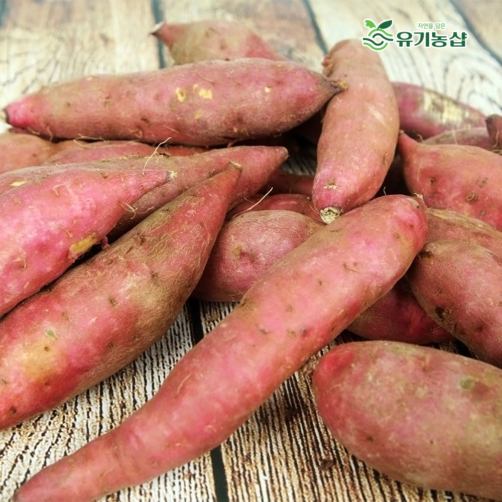 국내산 꿀고구마 5kg